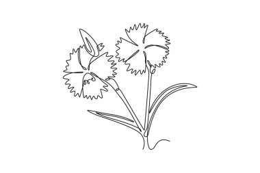 Ev dekoru poster baskısı için tek sıra güzel deanthus çizimi. Yeşil Park ikonu için dekoratif karanfil çiçeği konsepti. Aralıksız çizgi çizimi tasarım grafik vektör çizimi