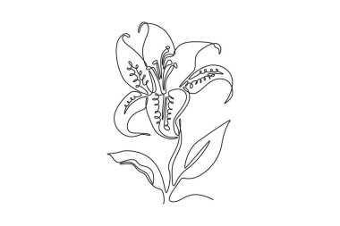 Güzel kaplan zambağı çizen tek sıra. Ev dekorasyonu için. Duvar posterleri için. Düğün davetiyesi için basılabilir dekoratif liyum çiçeği. Bir çizgi çizimi grafik tasarım vektör çizimi
