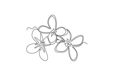 Bahçe logosu için taze şırıngalar çizen tek sıra. Ev dekorasyonu duvar resimleri için basılabilir eflatun çiçeği konsepti. Bir çizgi çizimi grafik tasarım vektör çizimi