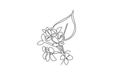 Ev dekorasyonu, duvar resimleri ve poster baskısı için taze şırıngalar. Basılabilir dekoratif leylak çiçeği davetiye kartı. Bir çizgi çizimi grafik tasarım vektör çizimi