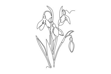 Ev dekorasyonu duvar kâğıdı poster baskısı için güzel, taze galanthus çizmeye devam et. Tebrik kartı süsü için dekoratif kartopu çiçeği. Tek çizgi çizimi tasarım vektörü grafik çizimi