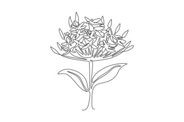 Bahçe logosu için taze çiçek açan tek bir güzel çizgisi var. Tebrik kartı süsü için basılabilir dekoratif ixora çiçeği konsepti. Bir çizgi çizimi grafik tasarım vektör çizimi