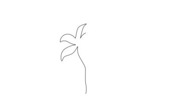 Sürekli çizilen kendi kendine çizimler, ev dekoru sanat afişi baskısı için taze soğanlı güzel bitkileri çeker. Düğün kartı için dekoratif BlueBell çiçeği. Tam uzunluktaki tek çizgi canlandırması