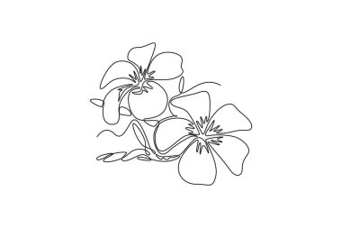 Duvar dekorasyonu posterleri için tek sıra halinde güzel, taze tesisatçılar çiziyor. Yeşil park ikonu için basılabilir Frangipani çiçeği. Bir çizgi çizimi grafik tasarım vektör çizimi