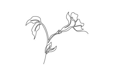 Ev dekorasyonu poster sanatı için tek sıra halinde güzel menekşeler çiziyor. Düğün davetiyesi için basılabilir dekoratif vinca çiçeği. Bir çizgi çizimi grafik tasarım vektör çizimi