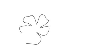 Sürekli çizilen çizgi, bahçe logosu için taze bir menekşe menekşesi çizer. Ev dekorasyonu posteri için basılabilir dekoratif kataranthus çiçeği konsepti. Tam uzunluktaki bir çizgi canlandırması