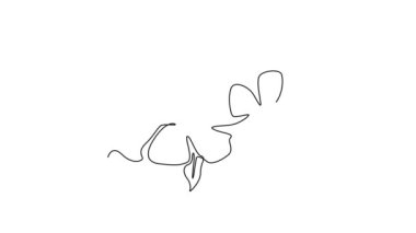 Kendi kendine çizim tek çizgi güzellik kataranthus ev kağıdı dekoru sanat posteri. Düğün davetiyesi için dekoratif menekşe çiçeği. Devamlı çizgi çekme. Tam uzunluk canlandırması