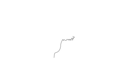 Ev dekoru posterleri için taze amorfofalos titanyumun sürekli çiziminin animasyonu. Ulusal park için dekoratif titan arum çiçeği. Tam uzunluktaki tek çizgi canlandırması