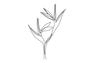 Sürekli bir çizgi, bahçe logosu için taze strelitzia çiziyor. Ev dekorasyonu için dekoratif kuş cenneti çiçek konsepti poster baskısı. Tek çizgi çizimi tasarım vektörü grafik çizimi