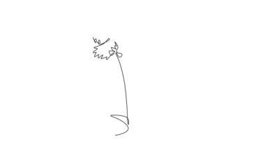 Animasyonlu kendi çizimi. Güzelliğin sürekli çizimi. Ev dekorasyonu için taze dianthus. Yeşil Park ikonu için dekoratif karanfil çiçeği konsepti. Tam uzunluktaki tek çizgi canlandırması