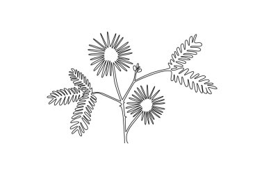 Ev dekorasyonunun poster baskısı için taze dormilonlar çizmeye devam et. Dekoratif uykulu çiçek konsepti davetiye kartı. Tek çizgi çizimi tasarım vektörü grafik çizimi