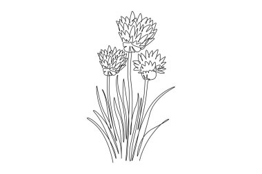 Bahçe logosu için taze allium tuberosum çizmeye devam et. Ev dekorasyonu poster baskısı için dekoratif frenk soğanı konsepti. Tek çizgi çizimi tasarım vektörü grafik çizimi
