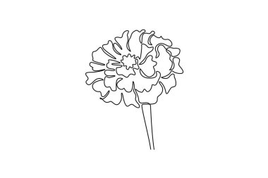 Ev dekoru posteri için tek sıra halinde güzellik takvimi çiziyor. Basılabilir dekoratif kadife çiçeği tebrik kartı süsü. Dinamik bir çizgi çizer grafik tasarım vektörü çizer