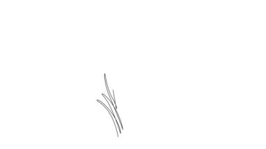 Sürekli çizilen çizgi, bahçedeki logo için taze Allison Tüberosum 'u kendine çekiyor. Ev dekorasyonu poster baskısı için dekoratif frenk soğanı konsepti. Tam uzunluktaki tek çizgi canlandırması