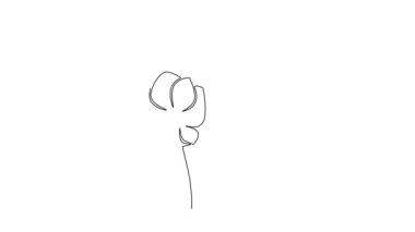 Sürekli çizginin animasyon çizimleri bahçe logosu için taze bir anemon çiçeği çeker. Ev dekorasyonu poster baskısı sanatı için dekoratif yaban çiçeği. Tam uzunluktaki tek çizgi canlandırması