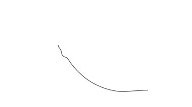 Sürekli çizilen kendi kendine çizimler, bahçenin logosu için taze centaurea siyanüsünü çeker. Ev dekorasyonu, duvar resmi poster baskısı için dekoratif çiçek konsepti. Tam uzunluktaki tek çizgi canlandırması