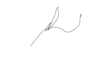 Kendi kendine çizim tek çizgi güzellik taze simphtum bahçe logo şablonu çizer. Çiçekli davetiye çerçevesi için dekoratif papatya çiçeği konsepti. Devamlı çizgi çekme. Tam uzunluk canlandırması