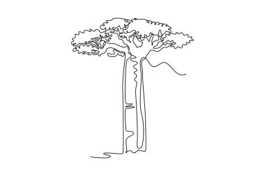 Tek sıra halinde büyük, dayanıklı bir baobab ağacı çiziyor. Ulusal park logosu için dekoratif devasa tarihi ağaç. Ev duvarı dekoru posteri. Dinamik bir çizgi çizer grafik tasarım vektörü çizer