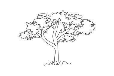 Duvar dekorasyonu için tek bir çizgi güzellik marula ağacı çiziyor. Ulusal park logosu için Sclerocarya Birrea bitkisi. Turizm ve seyahat. Aralıksız çizgi çizimi tasarım grafik vektör çizimi