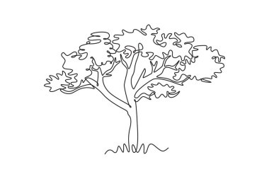 Single one line drawing beauty marula tree for wall decor art poster print. Sclerocarya birrea plant for national park logo. Tourism and travel. Continuous line draw design graphic vector illustration clipart