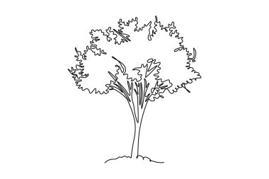Güzel, taze kiraz çiçeklerinin aralıksız çizimi. Ev dekorasyonu duvar baskısı posteri için. Kart süsü için süslü sakura çiçeği konsepti. Bir çizgi çizimi grafik tasarım vektör çizimi