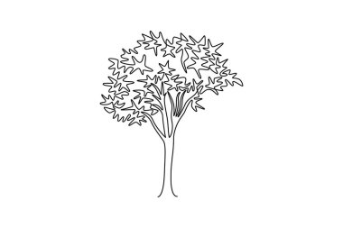 Ev dekorasyonunun poster baskısı için tek bir tane egzotik akçaağaç çizimi. Ulusal park logosu için dekoratif çınar bitkisi. Bir çizgi çizimi grafik tasarım vektör çizimi