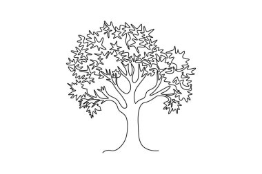 Tek sıra halinde büyük bir güzellik ve egzotik akçaağaç çiziyor. Ulusal park logosu şablonu için dekoratif acer pseudoplatanus bitki konsepti. Dinamik bir çizgi çizer grafik tasarım vektörü çizer