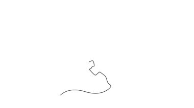 Sürekli çizilen çizgi, spor kıyafetleri içinde atlayan ve ulusal sahada antrenman yaparken smaç basan çekici profesyonel basketbolcuları kendine çekiyor. Tam uzunluktaki bir çizgi canlandırması