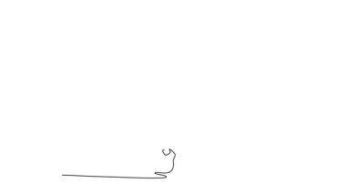 Canlandırılmış kendi kendine çizim yapan profesyonel bayan tenisçi topa hassasiyetle ve güçle vuruyor. Yeteneklerini ve tekniklerini sahada geliştiriyor. Tam uzunluktaki bir çizgi canlandırması