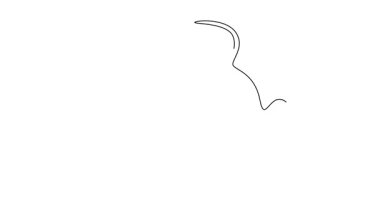 Yüzme havuzunda yüzmeye hazırlanan mayolu tek çizgili, su altı kadın yüzücü. Daha iyi sonuçlar elde etmek için iyi hazırlık. Devamlı bir çizgi. Tam uzunluk canlandırması