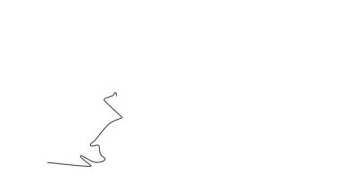 Animasyon çizimleri spor giyimli güzel bayan boksörleri ve boks kulübünde atlama egzersizi yapan eldivenleri çeker. Spor salonunda profesyonel sporlar. Tam uzunluktaki bir çizgi canlandırması