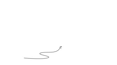 Animasyonlu kendini çizme hareketi kaykayıyla atlayan agresif bir kadını kendine çekiyor, kaykaycı iniş numarasının beceri, çeviklik ve şehir yaşam tarzını temsil ediyor. Tam uzunluktaki bir çizgi canlandırması