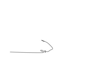 Devamlı çizimin animasyonlu çizimi, büyük Sumo güreşçisini arkadan, kolları geniş, katıksız kütle ve duruşuyla, düşük, ritüel shikiri çömelmiş bir şekilde çeker. Tam uzunluktaki bir çizgi canlandırması