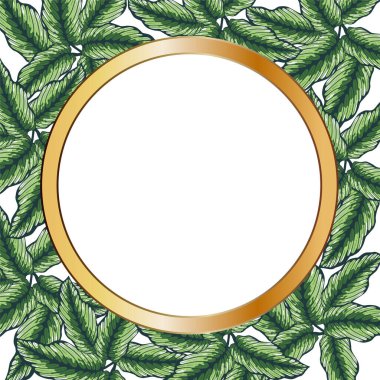 El yapımı çerçeve rengi tropikal afiş ve orman yaprakları. Egzotik yapraklar çizimler orman ağacı çerçevesi.