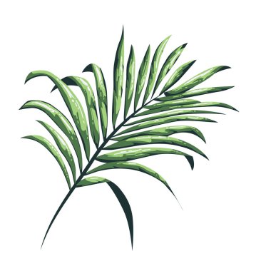 Doğa Yaprakları yalıtılmış. renk tropikal yapraklar arka plan. El çizimi vektör illüstrasyonu.