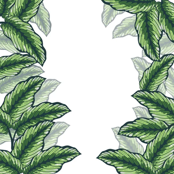 Handgezeichnete Rahmenfarbe Tropisches Banner Mit Dschungelblättern Exotische Blätter Illustrationen Rahmen — Stockvektor