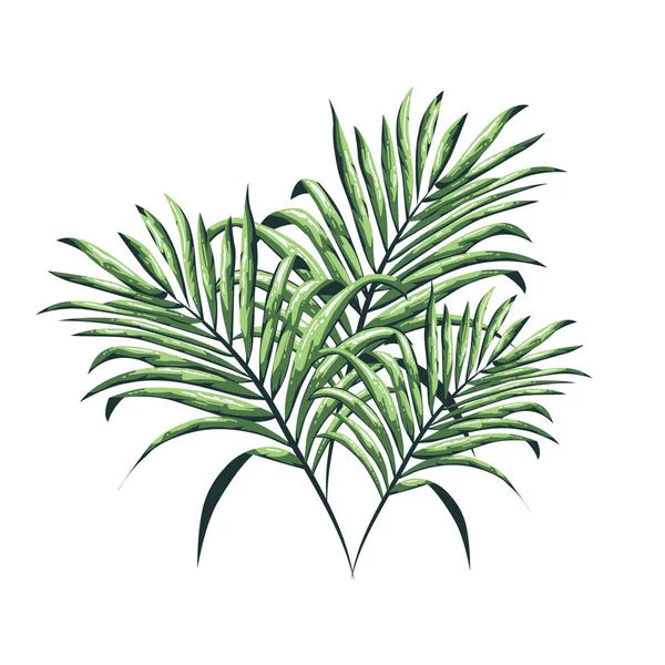 自然は孤立したまま 熱帯の葉の背景色 手描きベクトルイラスト — ストックベクタ