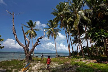 Hindistan cevizi ağaçları ve mavi okyanuslu beyaz kumsal fotoğrafı. Beyaz bir kumsal manzarası.