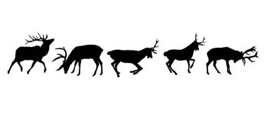 Geyik silueti koleksiyonu