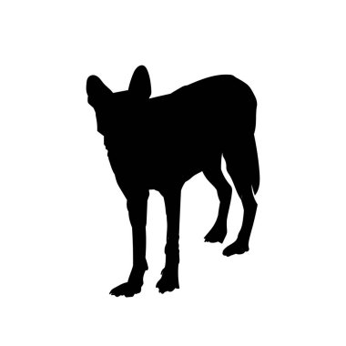 Vahşi bir tilkinin silueti.