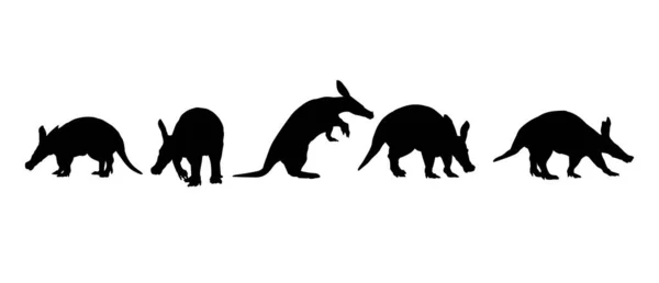 Collezione Aardvark Silhouette Animale Africano — Vettoriale Stock