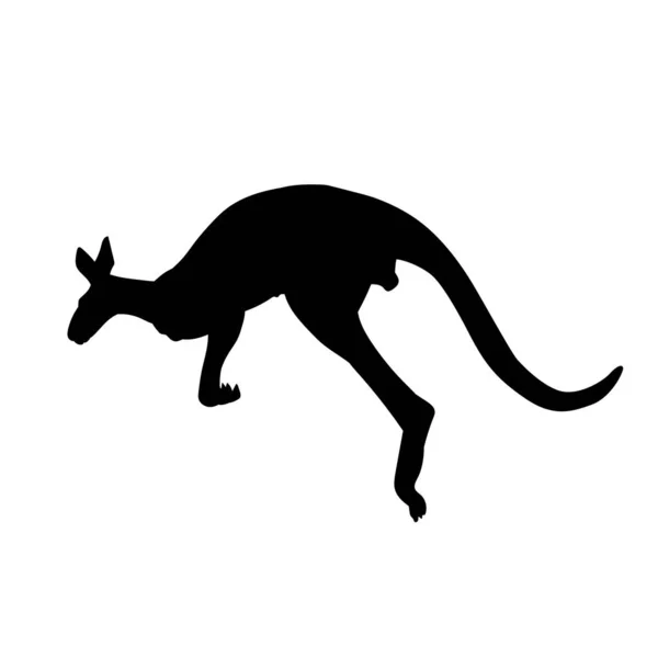 Sziluett Egy Kenguru Állat Fut Ugrál — Stock Vector