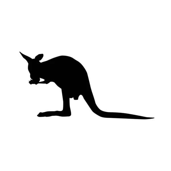 Silhouette Animal Kangourou Debout Sur Deux Pattes — Image vectorielle