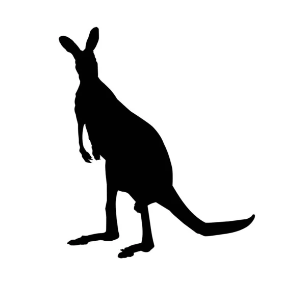 Silhouette Kangaroo Animal Standing Two Leg — Stock Vector