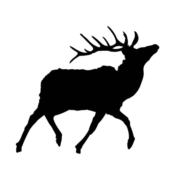 野生鹿类动物的轮廓 — 图库矢量图片
