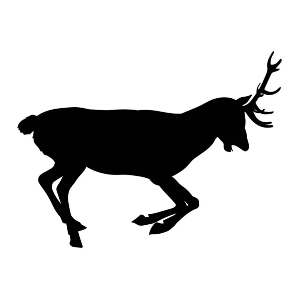 Silhouette Cerf Sauvage — Image vectorielle