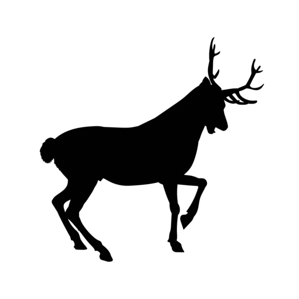 野生鹿类动物的轮廓 — 图库矢量图片