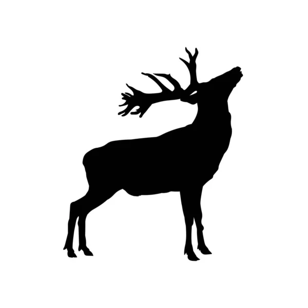 Silhouette Wild Deer Animal — Stock Vector