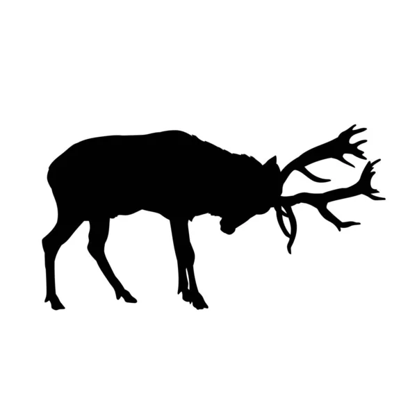 Silhouette Wild Deer Animal — Stock Vector