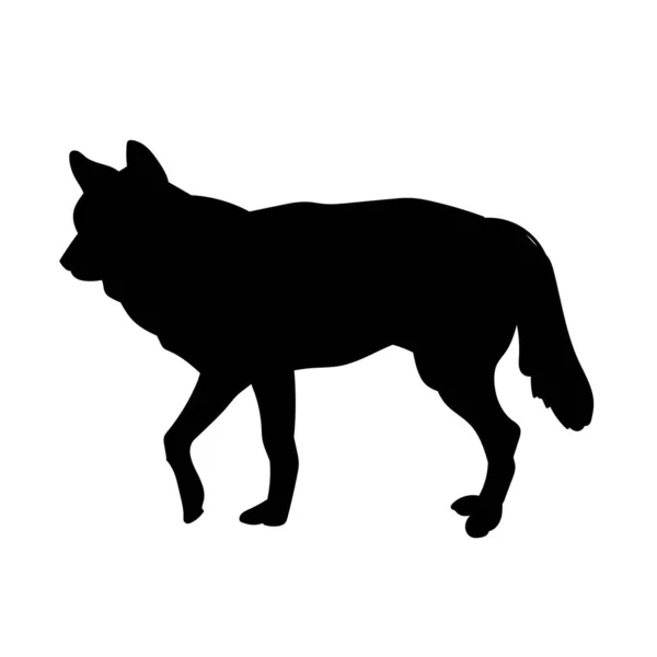 野生狐狸的轮廓 — 图库矢量图片